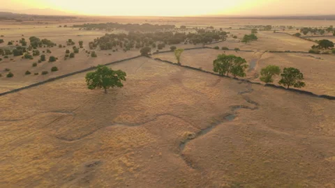 Aerial view of dry riverbeds in drought-hit dehesa, Salamanca, Spain Stock Footage 341886709