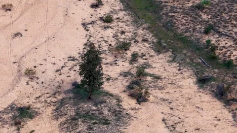 Aerial View of a Dry Sandy Creek Bed in the Outback Vidéo 345218741