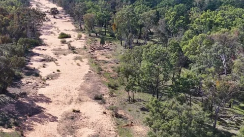 Aerial View of a Dry Sandy River Bed in The Pilliga Australia Stock Footage 344942341