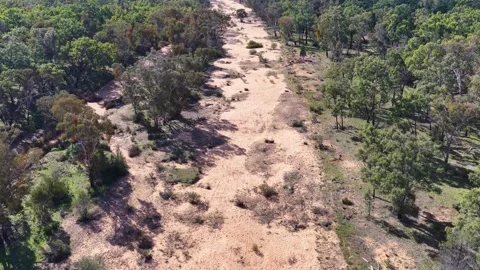 Aerial View of Dry Sandy River Bed in The Pilliga Australia Stock Footage 345012594