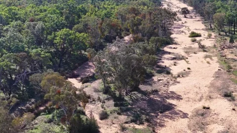 Aerial View of Dry Sandy River Bed in The Pilliga Australia Stock Footage 345015265