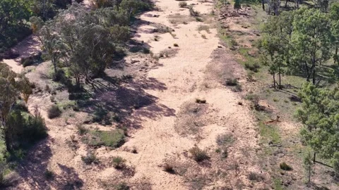 Aerial View of Dry Sandy River Bed in The Pilliga Australia Stock Footage 345015780