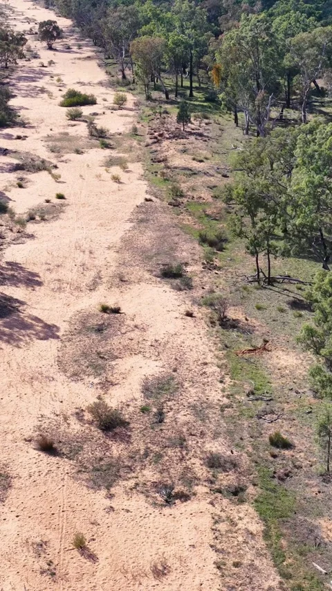 Aerial View of Dry Sandy River Bed in The Pilliga Australia Stock Footage 345111526
