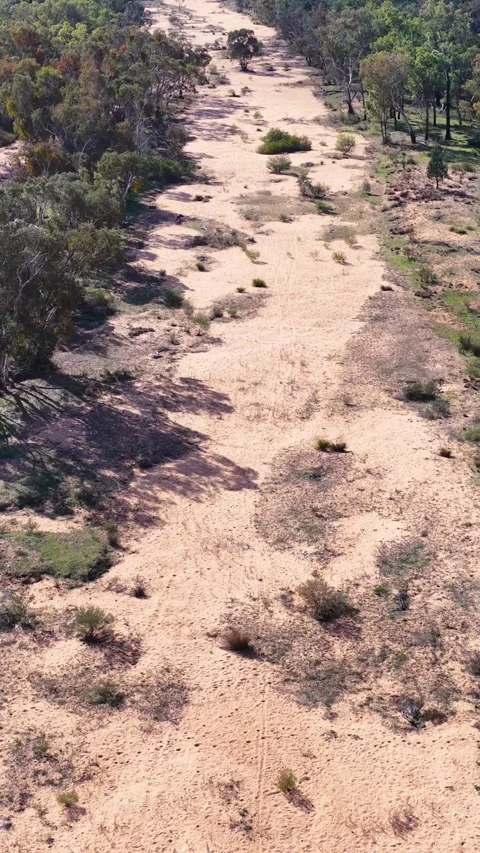 Aerial View of Dry Sandy River Bed in The Pilliga Australia Stock Footage 345710311