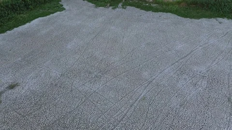 Aerial view of dry soil texture Stock Footage 255303089