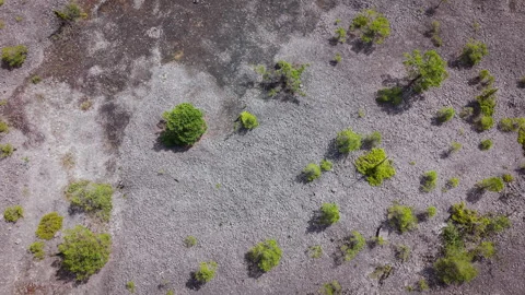 Aerial View of Dry Stone Terrain with Green Bushes Growing Stock Footage 340386785
