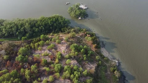 Aerial view dry tree leaves due to burning Stock Footage 321389688