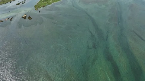 Aerial view of Duckabush River Bridge washington in olympic peninsula Stock Footage 339638408