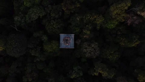 Aerial View of Ducke Reserve in the Amazon Rainforest, Manaus, Brazil Stock Footage 336911565