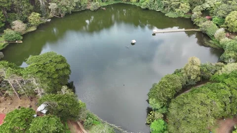 Aerial View of Ducks Flying Over Lake Fraijanes, Surrounded by Coniferous Forest Stock Footage 325348995