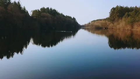 Aerial view: ducks take off from the surface of the river. Wild birds are flying Stock Footage 90134506