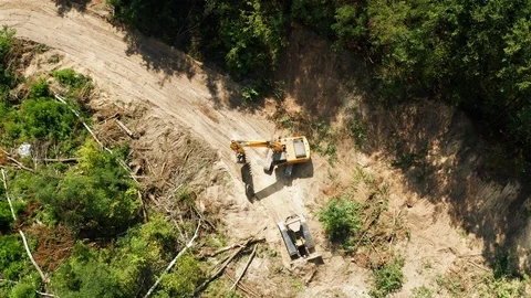 Aerial view of dump in forest. Pollution concept, top view. Stock Footage 113755131