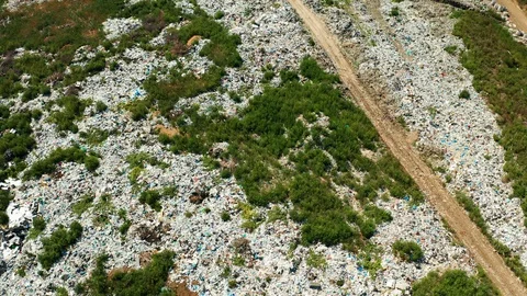 Aerial view of dump in forest. Pollution concept, top view. Stock-Footage 113757048