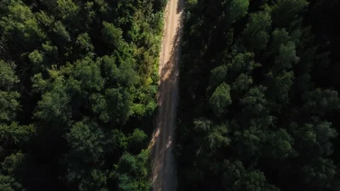Aerial view to dump truck mooving on a road through forest with sand Stock Footage 163376568