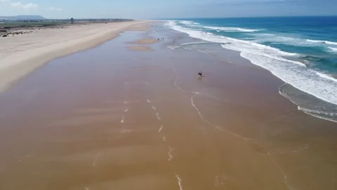 Aerial view of  dune beach in Conil, village of Cadiz. Andalusia,Spain Stock Footage 196161835