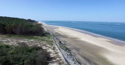 Aerial view of the Dune du Pilat Stock Footage 57239401