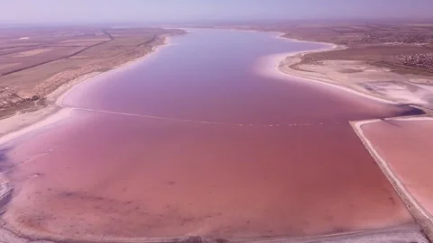 Aerial view, during breeding of large numbers of crustaceans Brine shrimp, Stock Footage 195932760