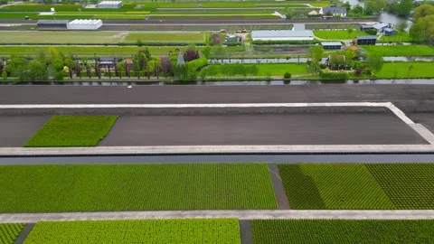 Aerial view of dutch agricultural fields and canals Vídeo Stock 340490839
