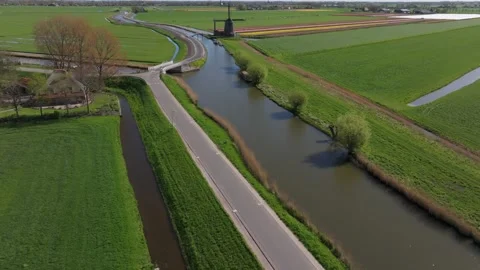 Aerial view of Dutch tulip fields with old windmill on horizon near Kaag Stock Footage 313164778