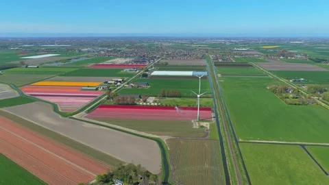 Aerial view of dutch tulip fields with wind turbines Stock Footage 341523095