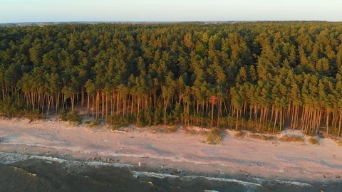 Aerial view of the Dutchman's Cap, the highest scarp in Lithuanian seaside Vidéo 108116584