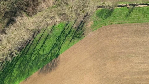 Aerial View of Dynamic Tree Shadows on Patchwork Countryside Stock Footage 270216836