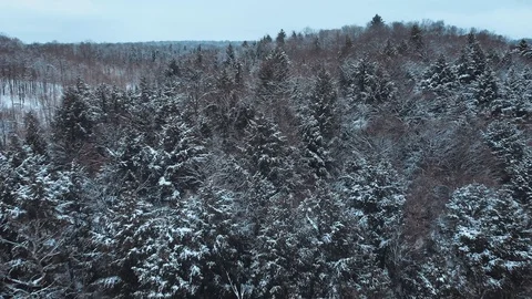 Aerial view from Eagle Lake on a cold winter day, Haliburton, Ontario, Canada Stock Footage 99990705