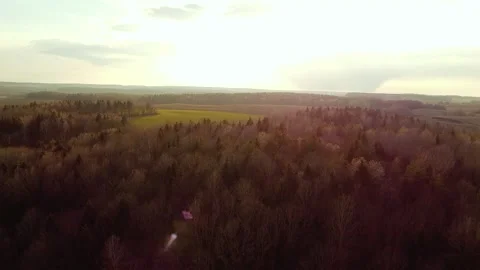 An aerial view of an early spring forest on a sunny day. Stock Footage 271336983