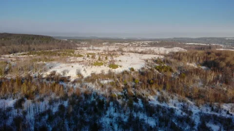 Aerial view of an early winter forest. Naked trees on the sunny winter day Stock Footage 140277575