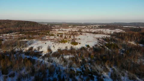 Aerial view of an early winter forest. Naked trees on the sunny winter day Stock Footage 140277919