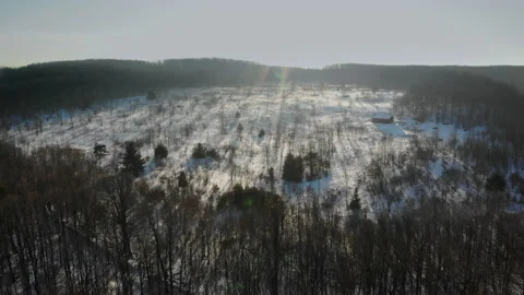 Aerial view of an early winter forest. Naked trees on the sunny winter day Stock Footage 140278336