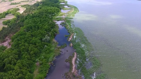 Aerial view of ecosystems of flora and fauna Stock Footage 83262602
