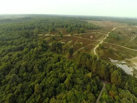 Aerial view, edge of forest Stock Footage 60677048