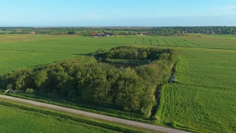 Aerial view of eendenkooi polder on terschelling island Vidéo 340349660