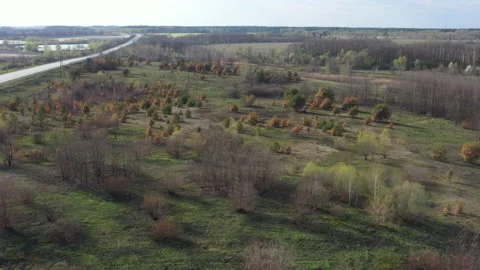 Aerial view of the effects of deforestation and wildfires in Zhytomyr region. Stock Footage 133368402