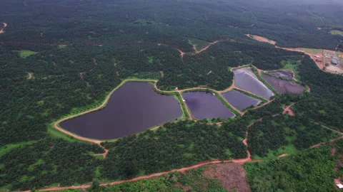 Aerial view of effluent pond in palm plantation with wastewater Video stock 346104724