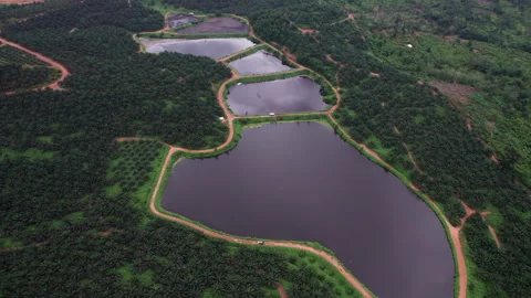 Aerial view of effluent pond with palm oil processing wastewater 動画素材 346104741