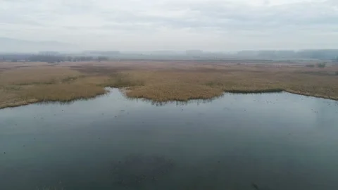 Aerial view of Efteni Lake at Duzce in Turkey Vídeo Stock 145242238