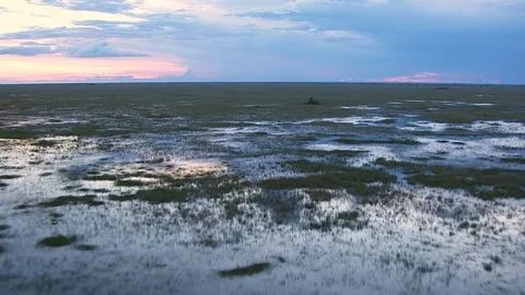 Aerial view Egrets flying Florida Everglades National Park Stock-Footage 80169993