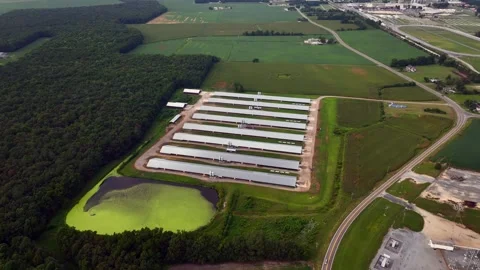 An aerial view of eight parallel farm buildings with metal roofs. They are Stock Footage 249532272