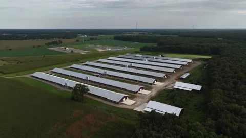 An aerial view of eight parallel farm buildings with metal roofs. Taken Stock Footage 249742563