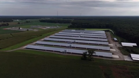 An aerial view of eight parallel farm buildings with metal roofs. They are Stock Footage 249792045