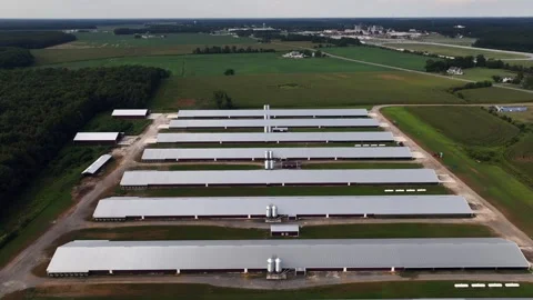An aerial view of eight parallel farm buildings with metal roofs. They are Stock Footage 249799938