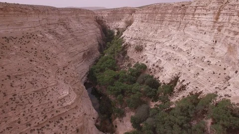 Aerial view of Ein Avdat Canyon. Negev. Israel. DJI-0207-05 Stock-Footage 123651498