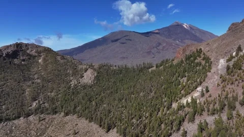 Aerial view of El Teide volcano, El Teide National Park, Tenerife, Canary Stock Footage 301719749