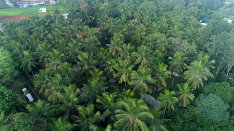 Aerial view of Elements resort in Bengaluru Stock Footage 329744987