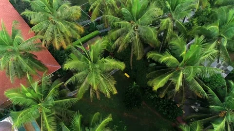Aerial view of Elements resort in Bengaluru Video stock 329745055