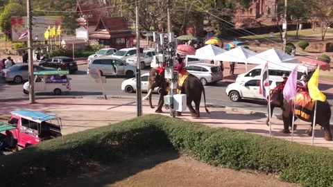 Aerial View of Elephant Riding Experience in Ayutthaya (3) Vídeo Stock 331640115