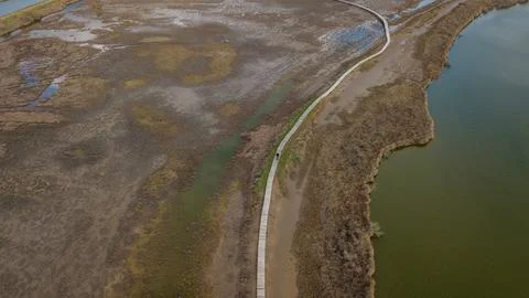 Aerial View of Elevated Boardwalk Through Expansive Wetland Area Stock-Fotos