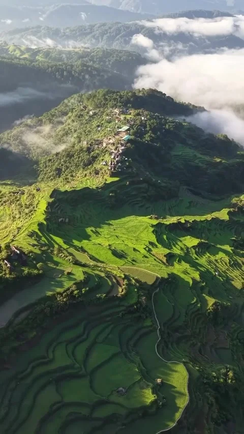 Aerial View of Emerald Green Mountain Rice Terraces Vidéo 339880605